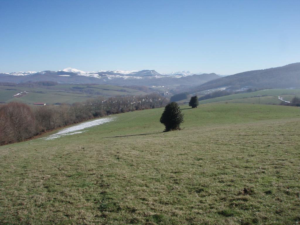 Casa Rural Irugoienea Espinal-Auzperri エクステリア 写真