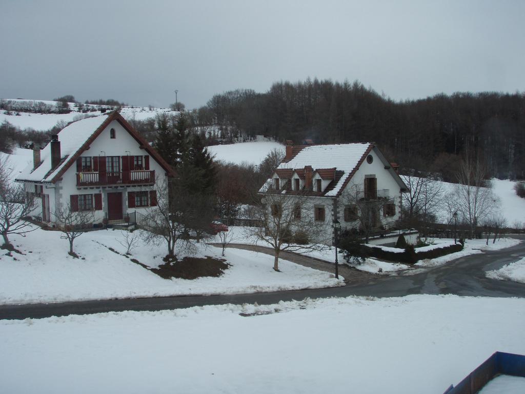 Casa Rural Irugoienea Espinal-Auzperri エクステリア 写真